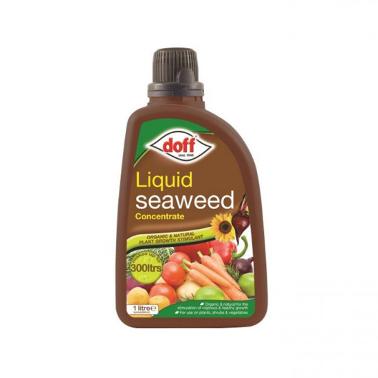 SEAWEED LAWN LIQUID FERTILISER 1LTR
