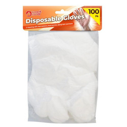 DISPOSABLE GLOVES 100PK                 