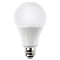 POWERPLUS GLS BULB 5W (DL/ES) 3410