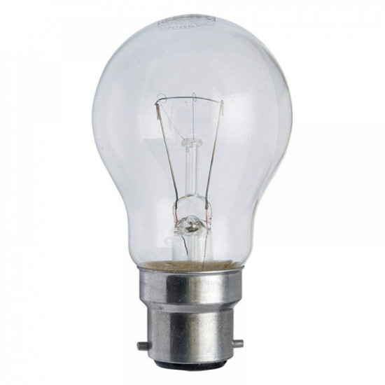 POWERPLUS GLS BULB 13W (WW/BC) 3475