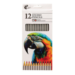 STUDIO PENCILS 12PK                     