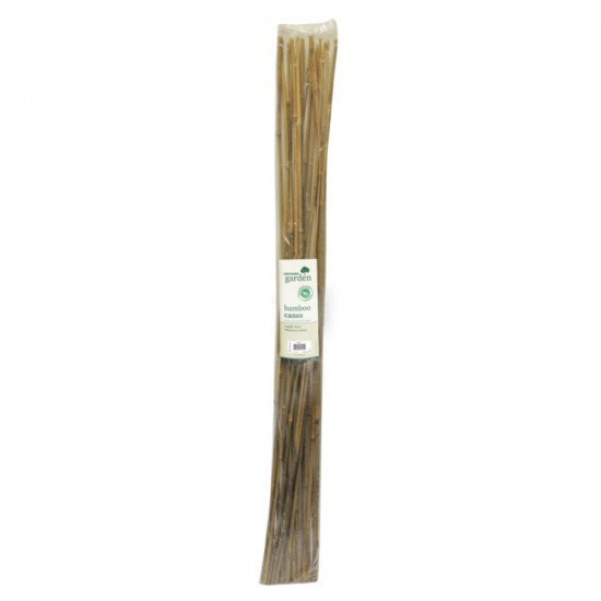 90CM BAMBOO STICKS 20s       BAM2A      