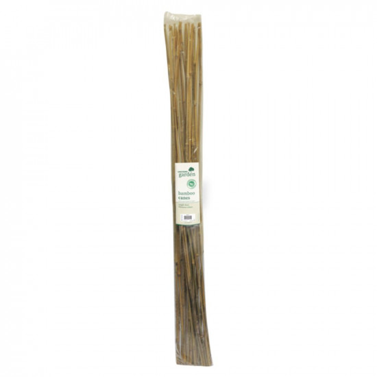 120CM BAMBOO CANES 20PACK BAM3A