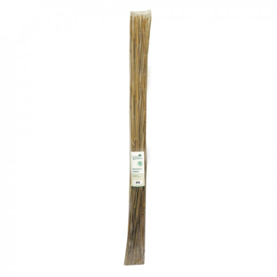 150CM BAMBOO CANES 10s       BAM4A