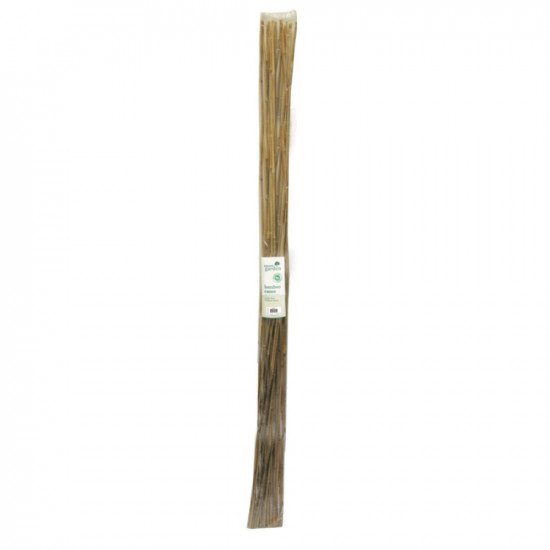 220CM BAMBOO CANES 10s       BAM6A      