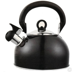 STAINLESS STEEL CASSEROLE 20CM CST29