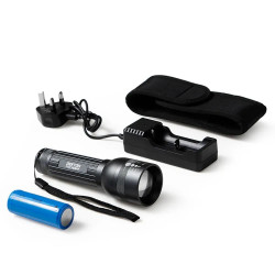 PROF. RECHARGE XT1000 TORCH DT50551     