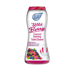 FOAM FRESH FOAMING TOILET CLEANER 370G  