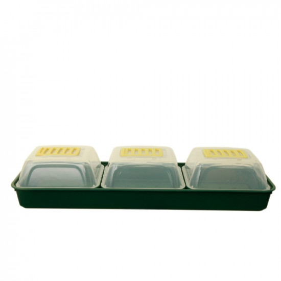 WINDOWSILL PROPAGATOR SET
