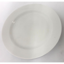 PLAIN OPAL DINNER PLATE
