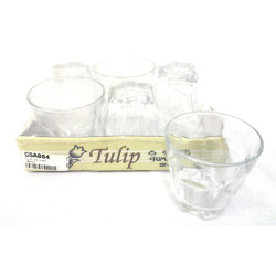 TULIP 6PCS GLASS SET                    