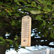 WOODEN THERMOMETER   GSTH02             