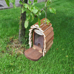 KINGFISHER SQUIRREL HOTEL   HOTEL4      