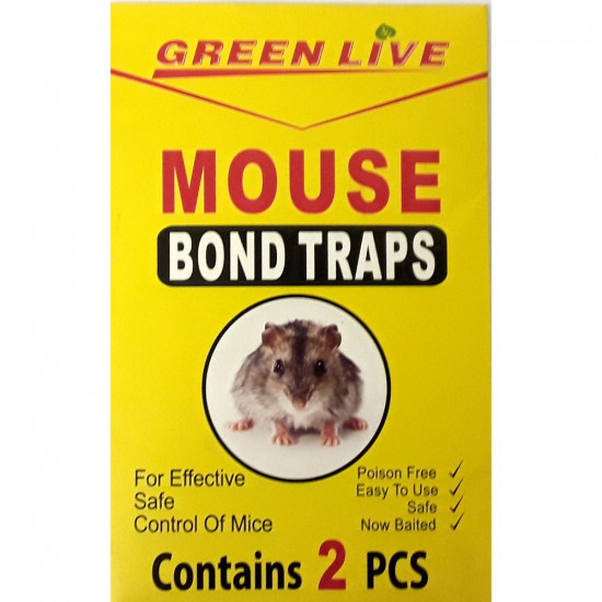 GREEN KILLER MOUSE GLUE TRAPS HUB536