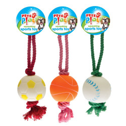 SQUEAKY SPORTS TOY   PAP1059            