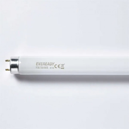 EVEREADY T8 4FT 36W TUBE