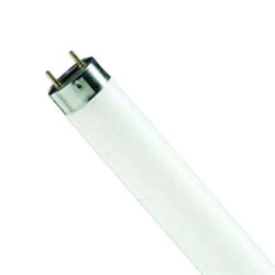 PHILIPS 70W 6FT TRIPHOSPHOR TUBE        