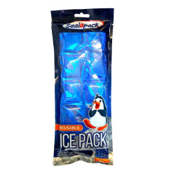 REUSABLE ICE PACK   SAP1083             