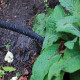 KINGFISHER GARDEN SOAKER HOSE 15M