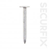 CLOUT NAILS GALV 30MM (250G) T10704