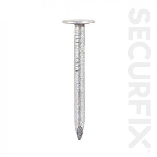 CLOUT NAILS GALV 30MM (250G) T10704